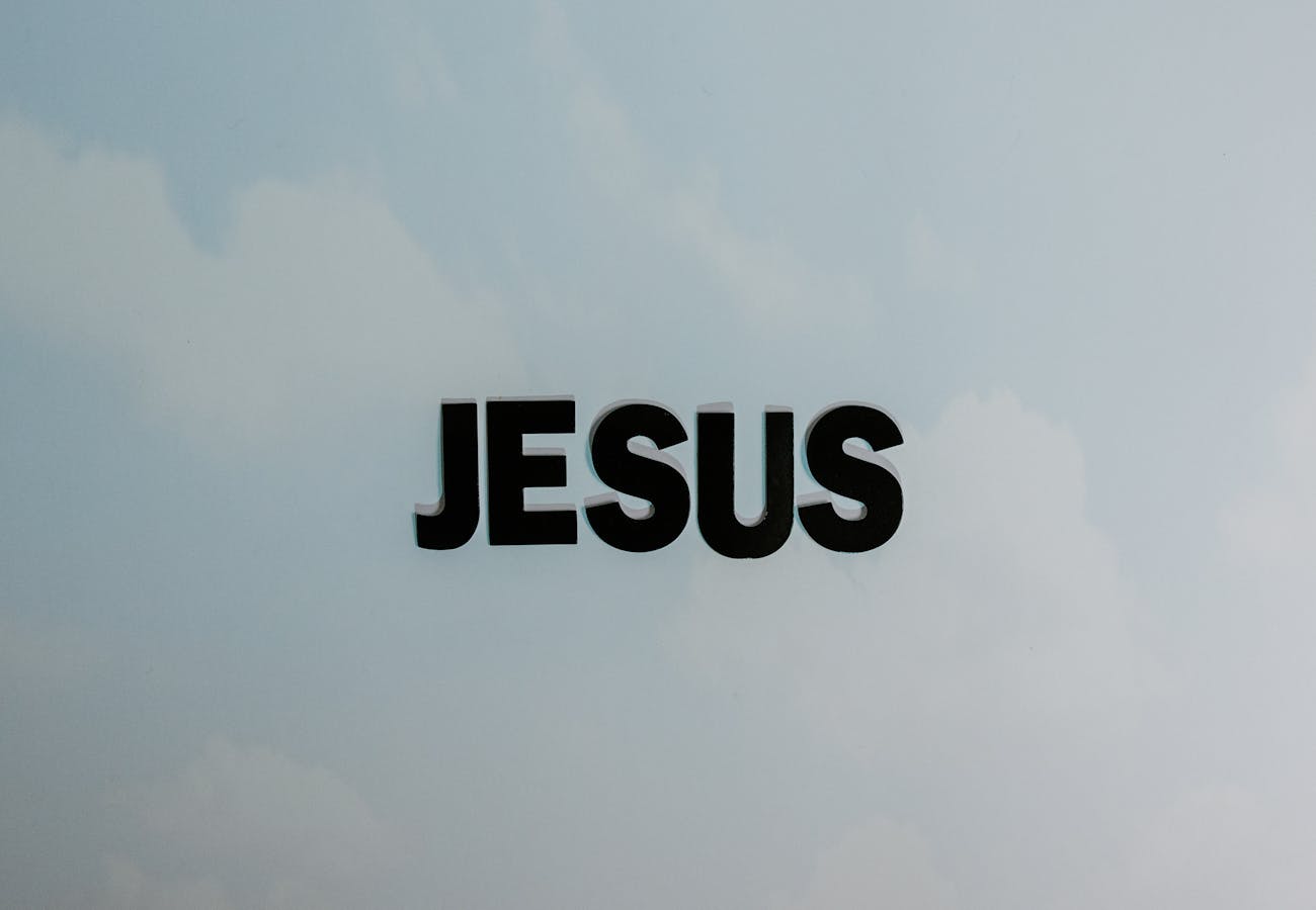 Home Pexels Photo 8383656 1